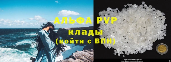 винт Пересвет