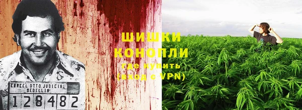 винт Осташков