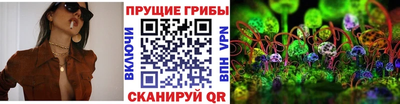 что такое   blacksprut как войти  Галлюциногенные грибы мицелий  Бугуруслан 