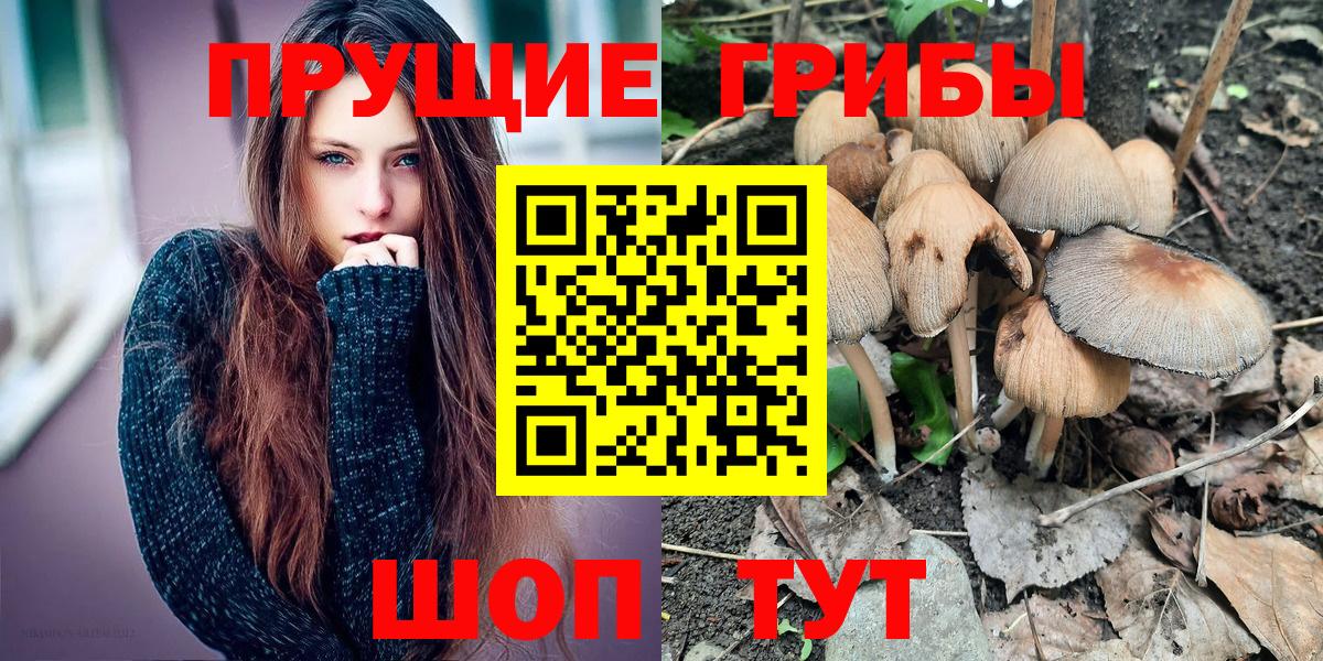 Галлюциногенные грибы мицелий Бугуруслан